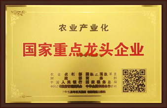 �����ص���ͷ��ҵ